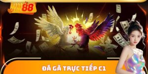 Soi kèo chiến kê C1